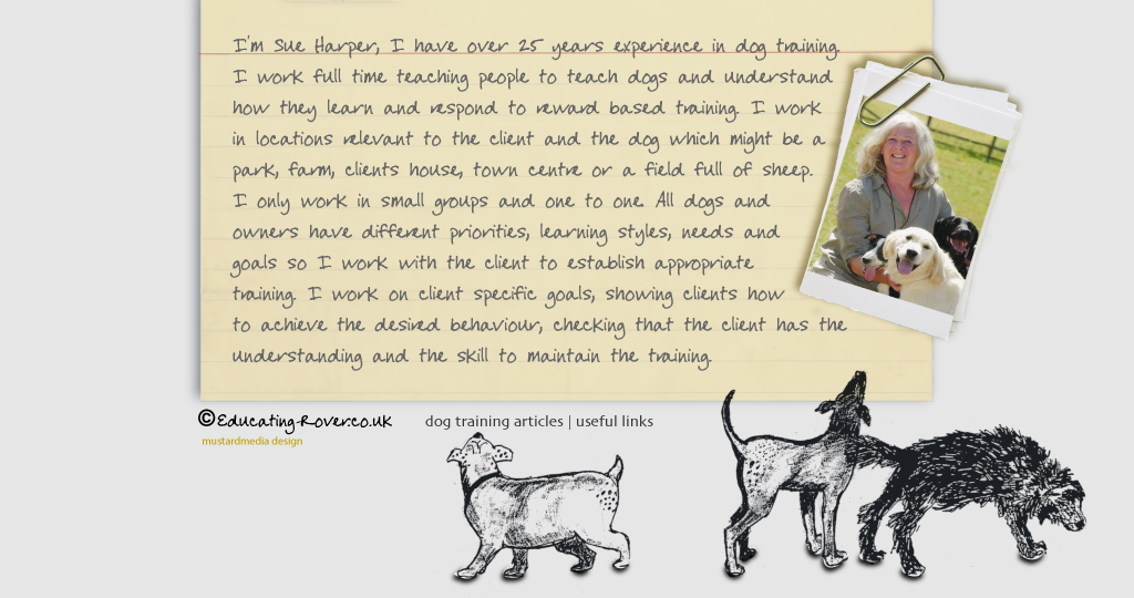  I'm Sue Harper a dog trainer based in Worcestershire, a long standing member of the APDT.  I work full time teaching people to teach dogs and understand how they learn and respond to reward based training. I work in locations relevant to the client and the dog which might be a park, farm, clients house, town centre or a field full of sheep.  I only work in small groups and one to one. All dogs and owners have different priorities, learning styles, needs and goals so I work with the client to establish appropriate training. I work on client specific goals, showing clients how to achieve the desired behaviour, checking that the client has the understanding and the skill to maintain the training.   