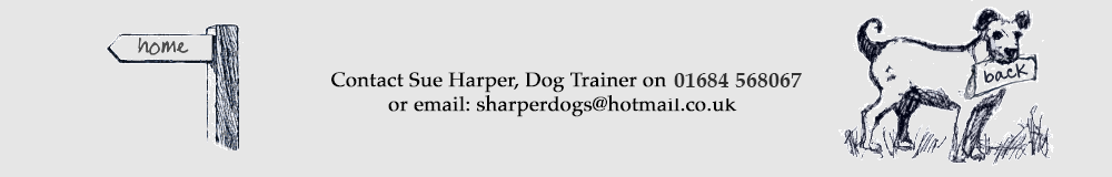Contact Sue Harper, Dog Trainer on: Malvern 01684 568067 or Abergavenny 01873 890675 or email: sharperdogs@hotmail.co.uk
